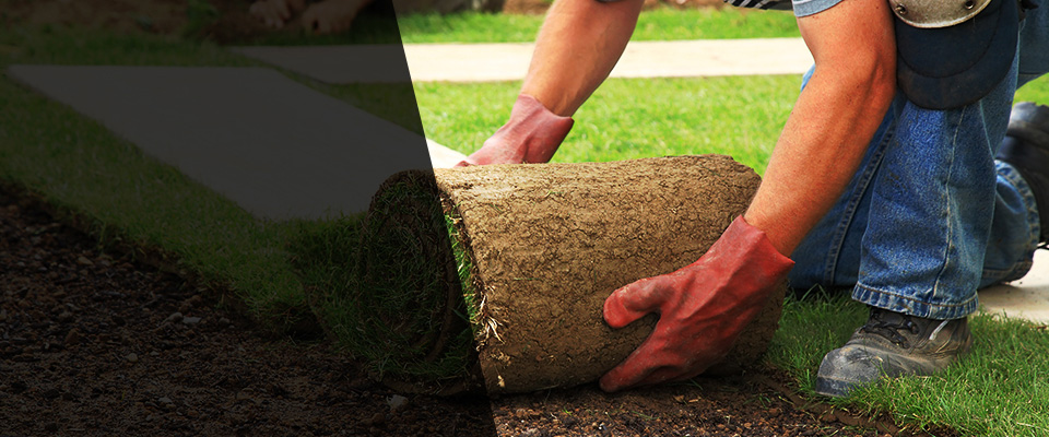 Gretna Landscapers